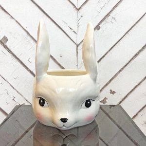 Rabbit bowl