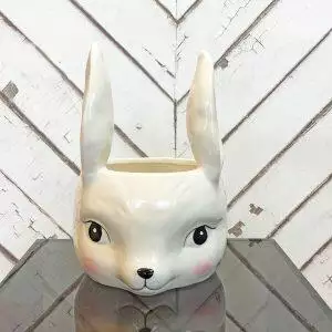Rabbit bowl
