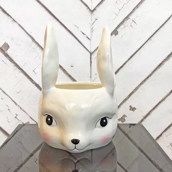 Rabbit bowl