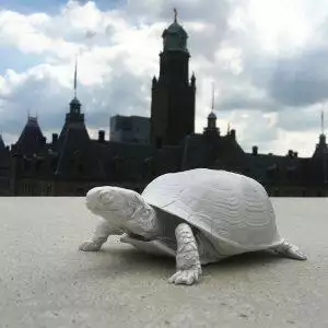 turtle box areaware