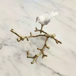 vogel op tak