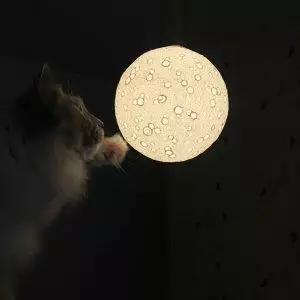 maan lamp