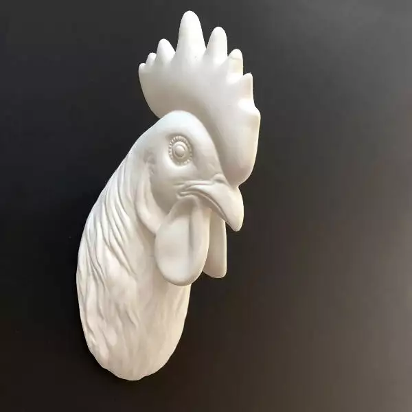 hanen kop