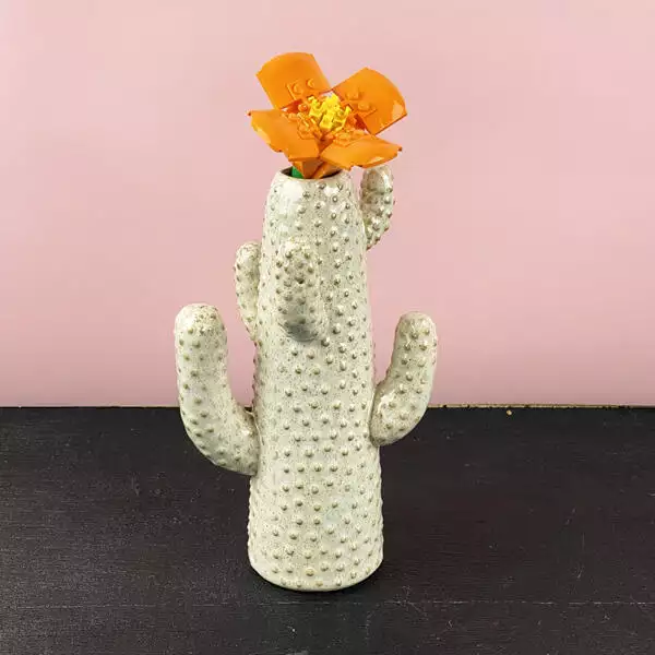 cactus vaas