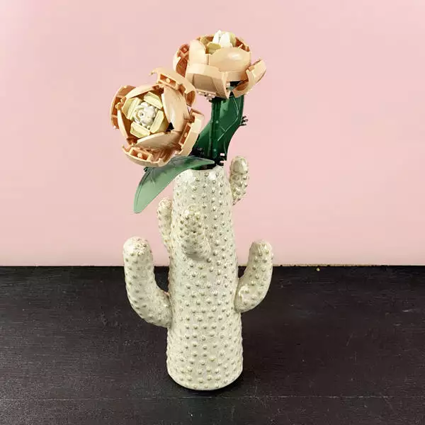 cactus vaas