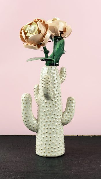 cactus vaas