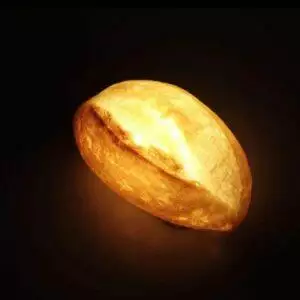 brood lamp pampshade