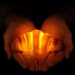 croissant lamp Pampshade