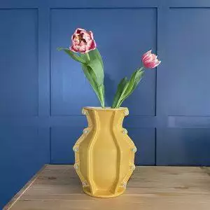carter vaas floris hovers