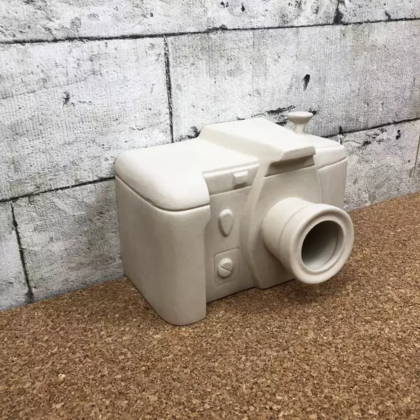 camera vogelhuis