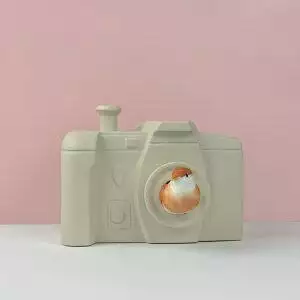 vogelhuisje camera