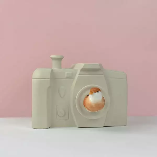 vogelhuisje camera