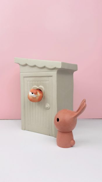 vogelhuisje schijtlijster