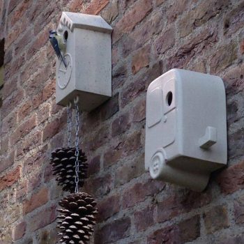 nichoir pour oiseaux précoces