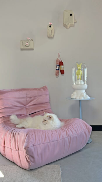 Vogelhuis Vroege Vogel