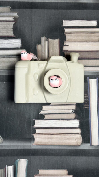 Vogelhuis Lach eens naar het vogeltje - cor unum