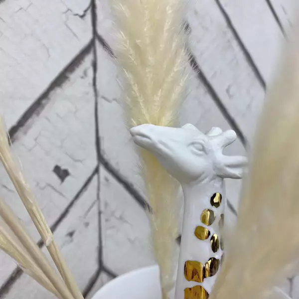 vaas giraffe