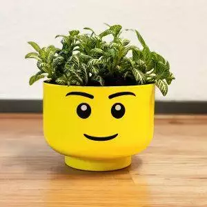 Lego storagehead boy small