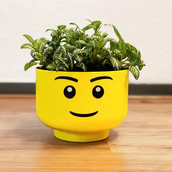 Lego storagehead boy small