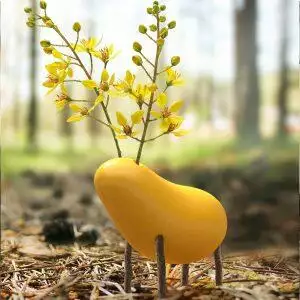 locomo dale yellow