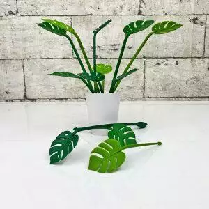 tropical party