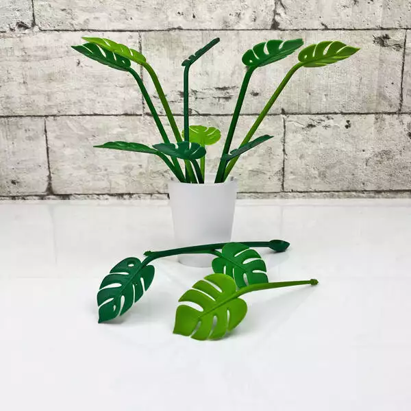 tropical party