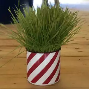 serax pot marie klein