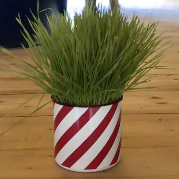 serax pot marie klein