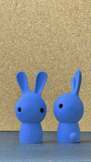 cuniculus blauw - Jorine Oosterhoff