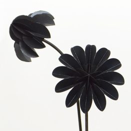 Paper flowers Special zwart