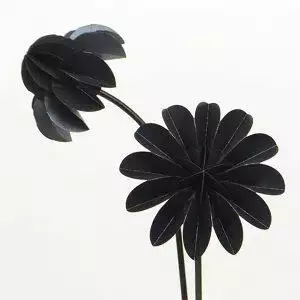 Paper flowers Special zwart