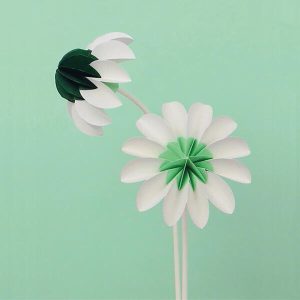 Paper flowers Spring