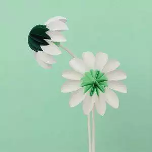 Paper flowers Spring