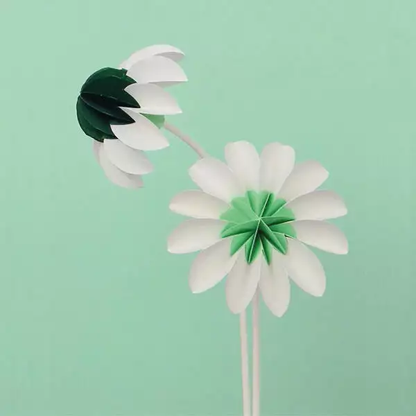 Paper flowers Spring