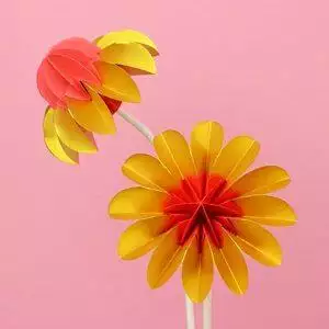 Paper flowers Summer