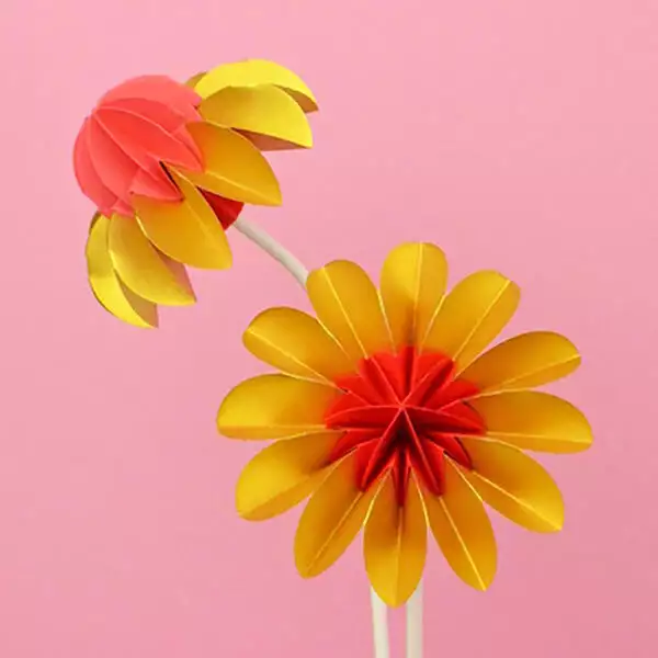 Paper flowers Summer