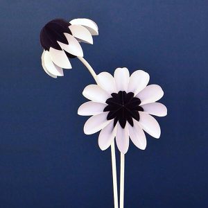 Paper flowers Winter
