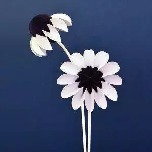 Paper flowers Winter