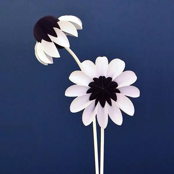 Paper flowers Winter