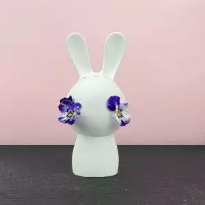 cunucilus bud vase wit