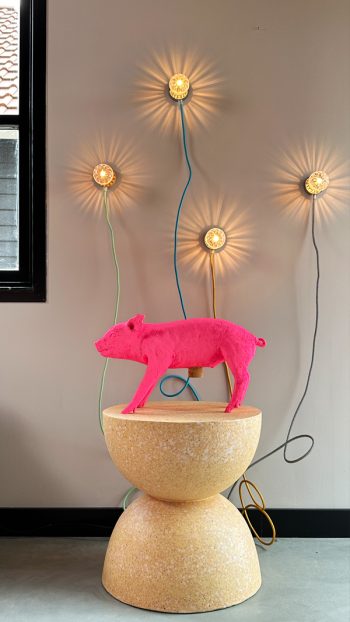 carnival lights lamp