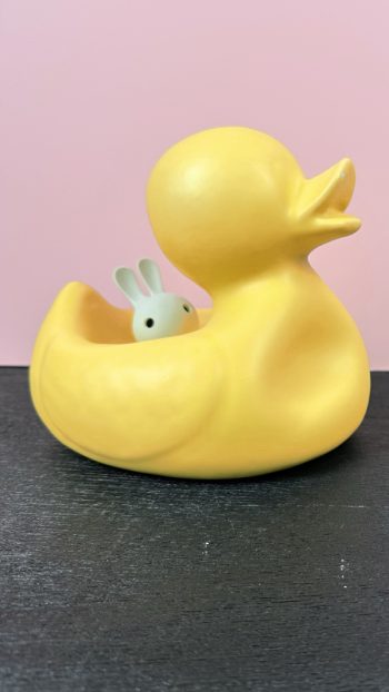 Mr. Ugly Duckling - Jasmin Djerzic