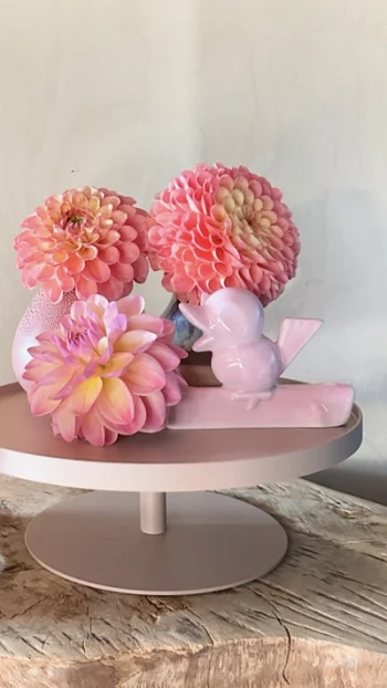 Design Bite Tray Blush; PRCHTG taartschaal