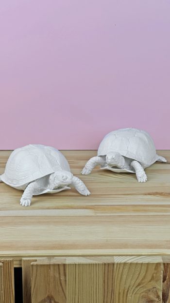 Areaware Turtle box white