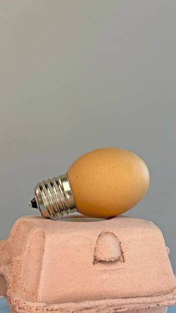 egg lamp e27 - Egglamp