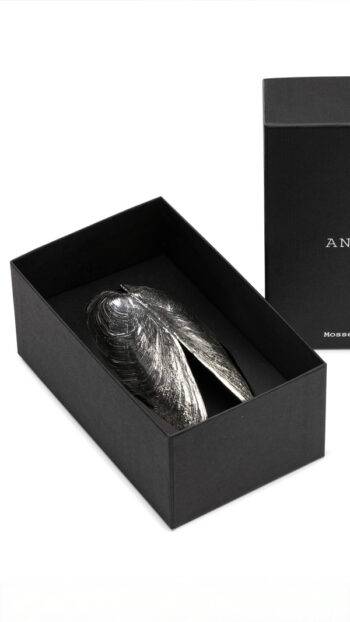 Anovi - clam scoop in Silver; FunFetti.shop