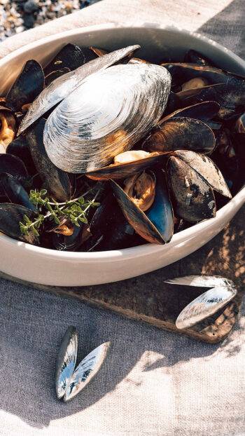 Anovi mussel cutlery in Silver; FunFetti.shop